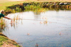 1999rrm_08